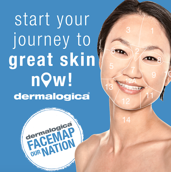 dermalogica, dermalogica skincare, dermalogica canada, face mapping, face map our nation, dermalogica face mapping, how to find out what is wrong with my skin, skincare, skin analysis, skincare professional, skin therapist