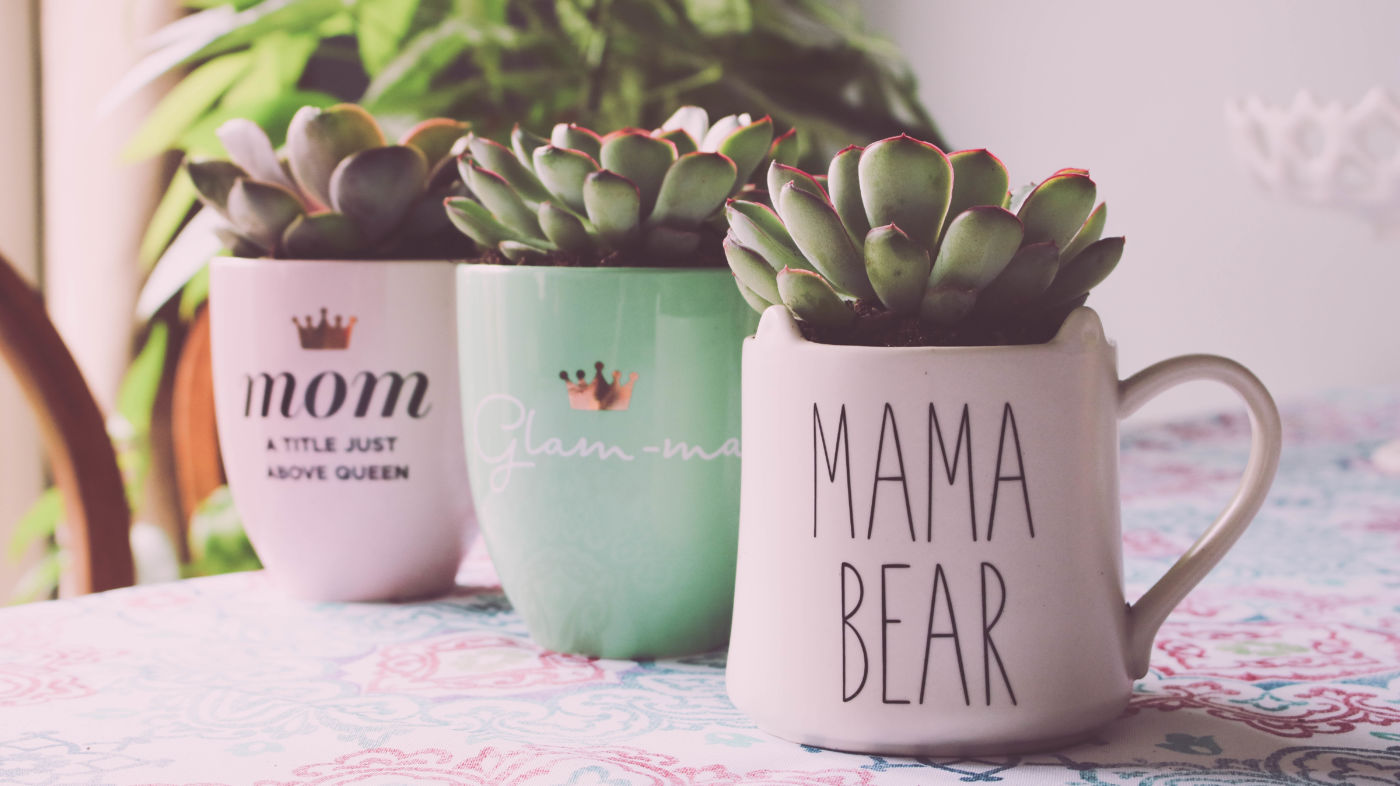 mother's day gift, mother's day gift idea, mother's day diy, how to make a mother's day present, what should i get my mom, mother's day gift guide, how to repot succulents, succulent planters, diy succulent planter, succulents in mugs, diy gift ideas, cute diy gift, cheap gift idea, DIY succulent planters